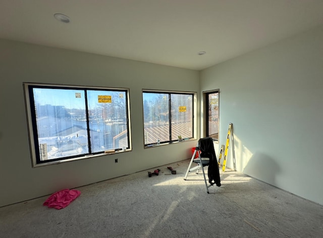 interior space featuring carpet flooring