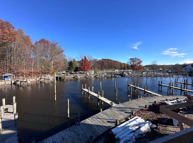 dock area with a water view