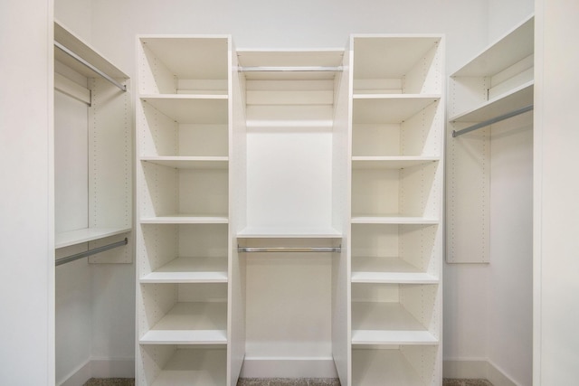 view of spacious closet