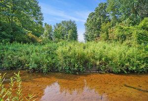 56th St, Fennville MI, 49408 land for sale