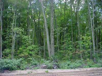 4380 W Skeels Rd, Montague MI, 49437 land for sale