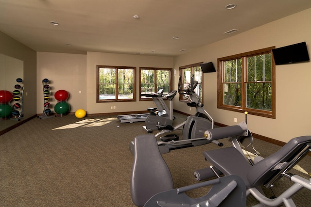 exercise area featuring carpet flooring