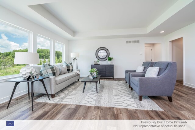 living room featuring a raised ceiling and hardwood / wood-style flooring