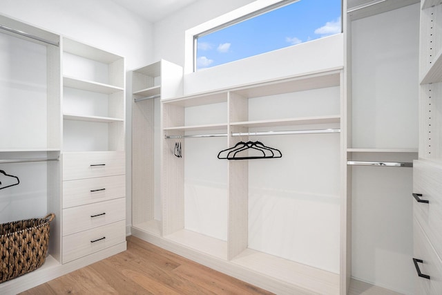 spacious closet featuring light hardwood / wood-style flooring