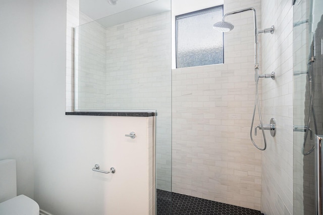 bathroom featuring toilet and walk in shower