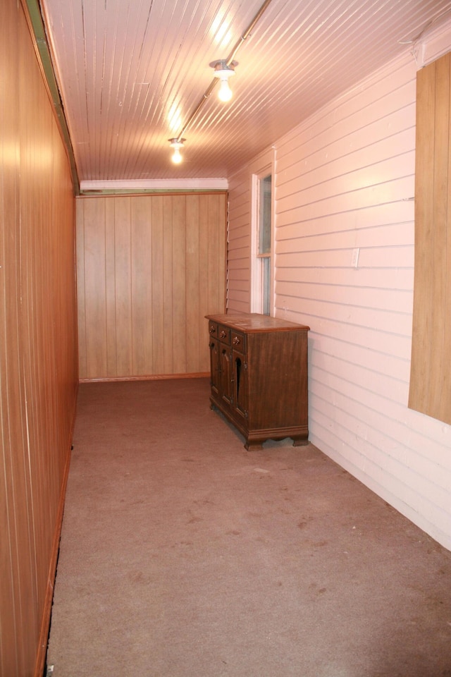 basement with wooden walls and light carpet