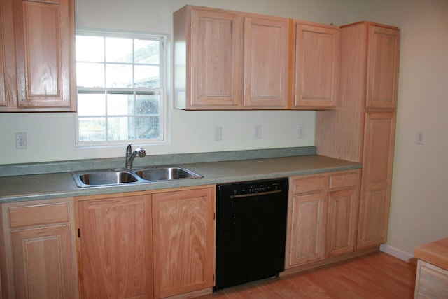 kitchen featuring sink, light hardwood / wood-style flooring, and black dishwasher