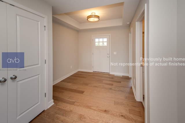 foyer entrance featuring a raised ceiling and light wood-type flooring