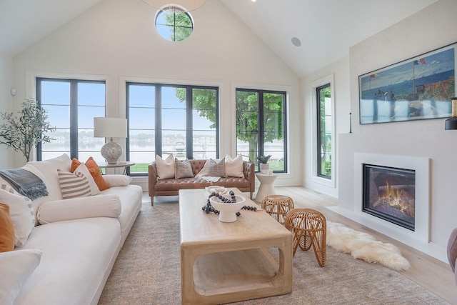 living room featuring light hardwood / wood-style flooring and high vaulted ceiling