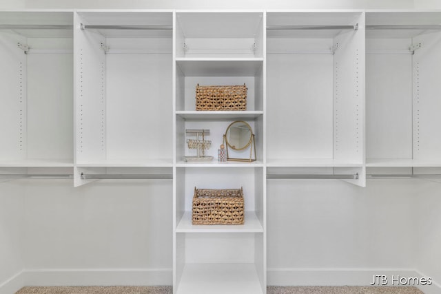 walk in closet featuring carpet floors