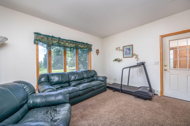 living room featuring carpet