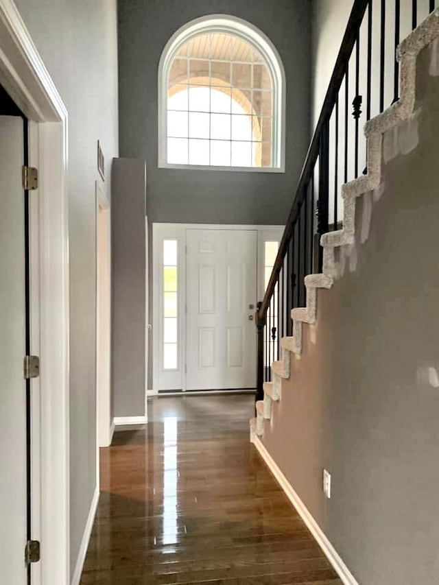 entryway with a high ceiling and dark hardwood / wood-style flooring