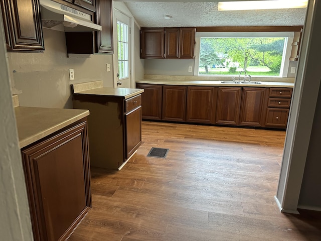 kitchen with sink, a wealth of natural light, a textured ceiling, and light wood-type flooring