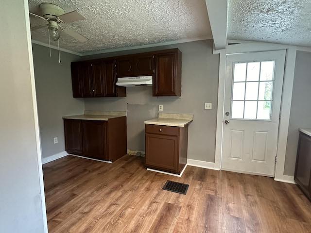 kitchen featuring ceiling fan, dark brown cabinets, light hardwood / wood-style flooring, and a textured ceiling