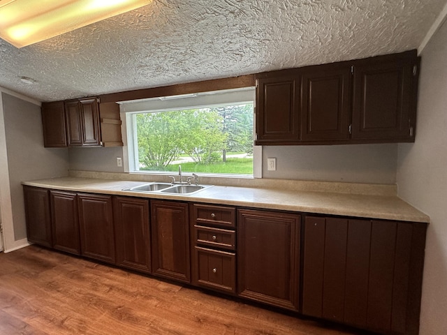 kitchen featuring dark brown cabinets, sink, a textured ceiling, and light hardwood / wood-style floors