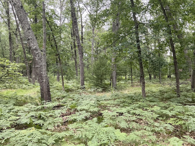 view of local wilderness