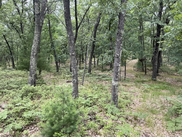 view of landscape