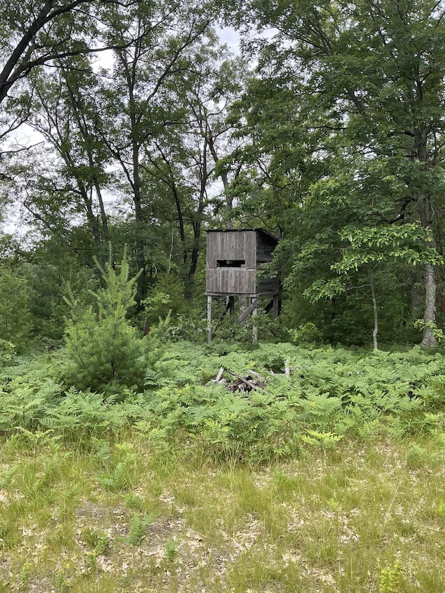 view of local wilderness