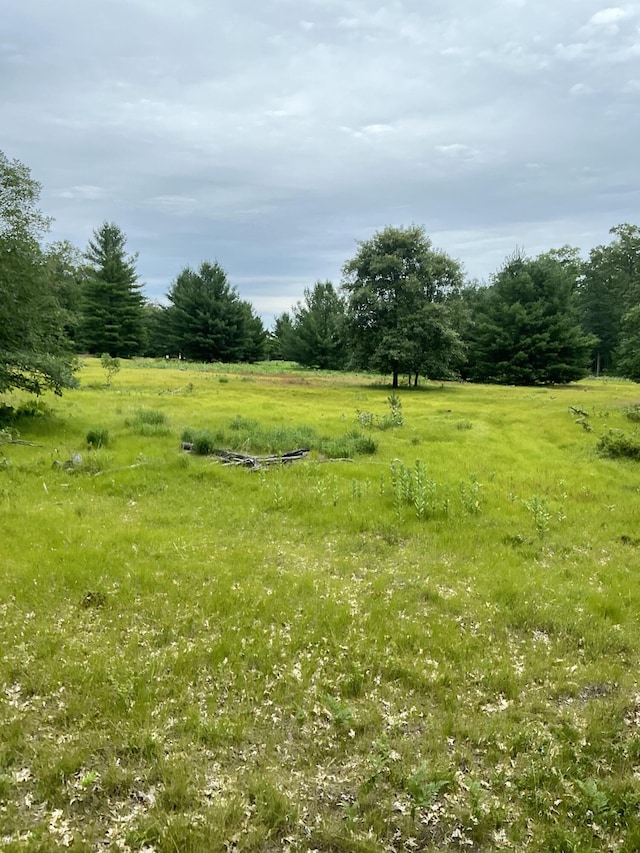 view of yard featuring a rural view