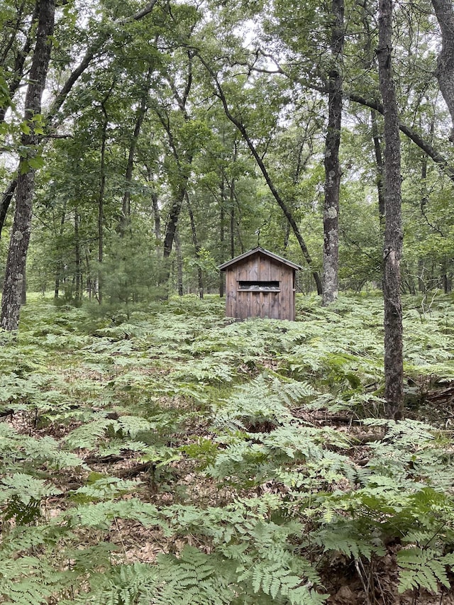 view of yard featuring a shed