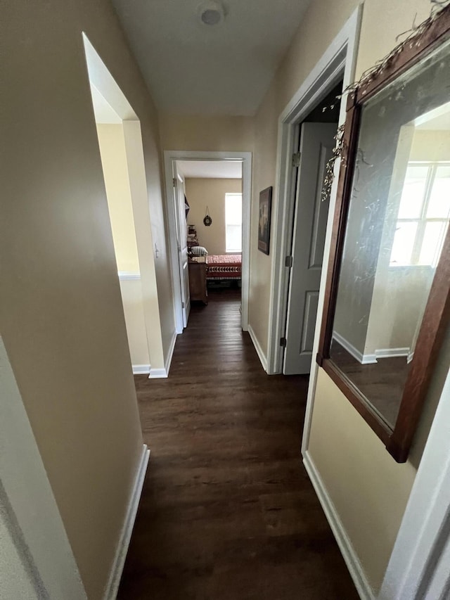 hall with dark hardwood / wood-style floors and a wealth of natural light