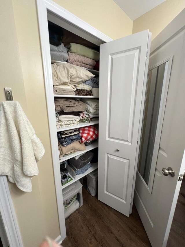 view of closet