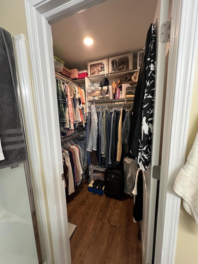 spacious closet featuring dark hardwood / wood-style flooring