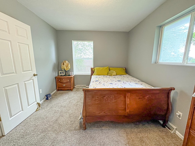 carpeted bedroom with multiple windows