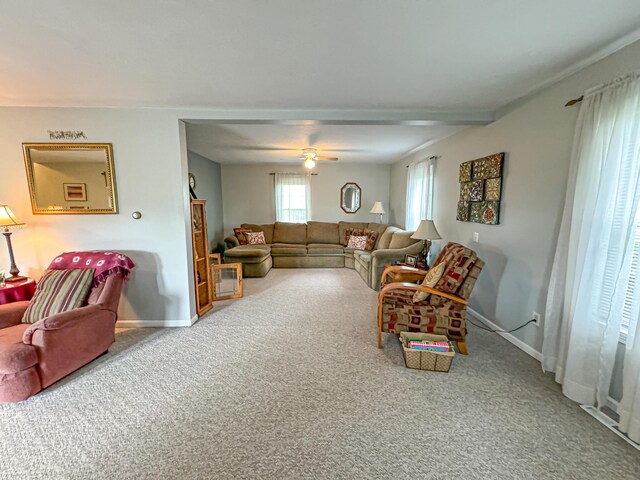 living room featuring ceiling fan and carpet