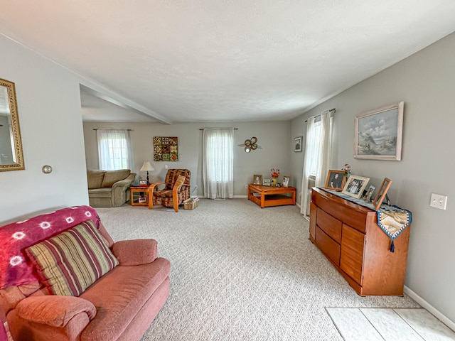 living room featuring light carpet