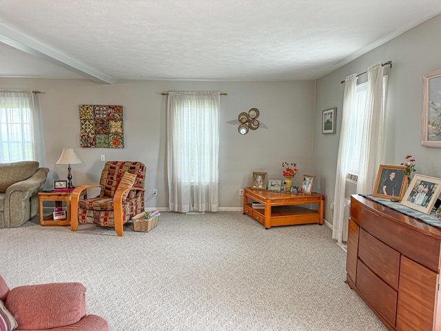 interior space with a textured ceiling, plenty of natural light, and light carpet