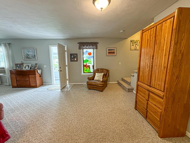 sitting room with a textured ceiling and light carpet