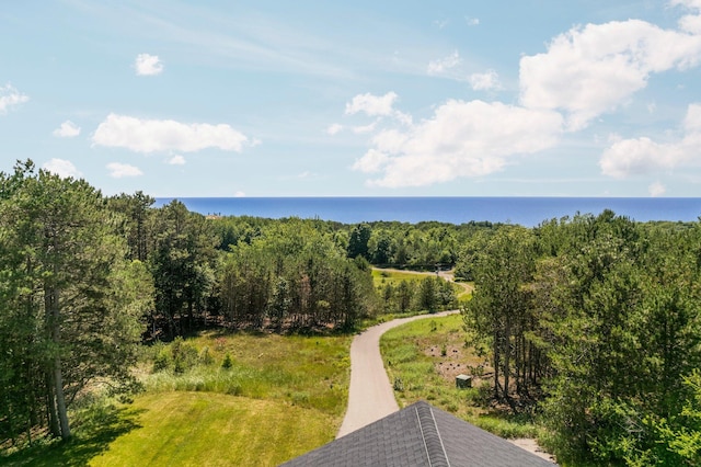 birds eye view of property with a water view