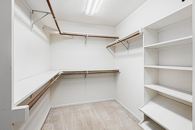 spacious closet featuring light colored carpet