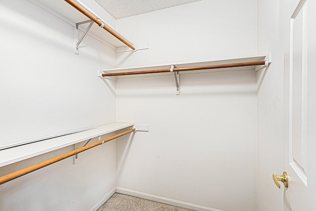 spacious closet with light colored carpet