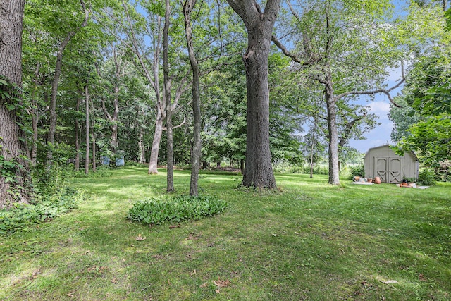 view of yard featuring a storage unit