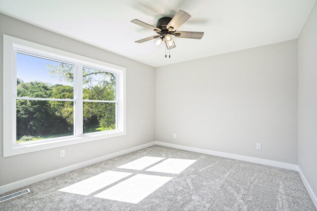 empty room featuring carpet floors and a wealth of natural light