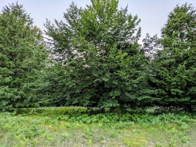 Smith Rd Lot 41, Onekama MI, 49675 land for sale