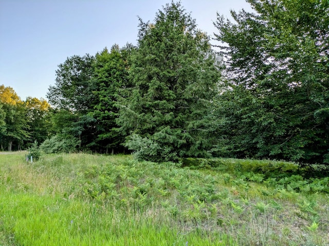 Listing photo 2 for Smith Rd Lot 41, Onekama MI 49675