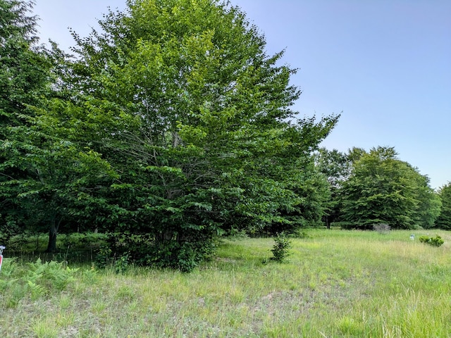 Listing photo 3 for Smith Rd Lot 41, Onekama MI 49675