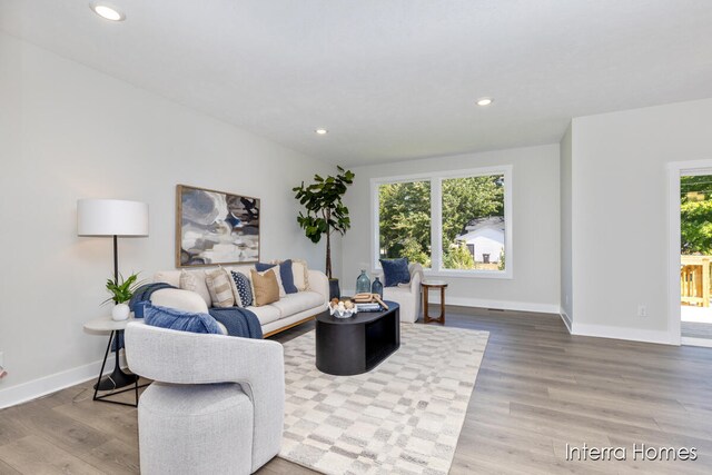 living room featuring wood-type flooring