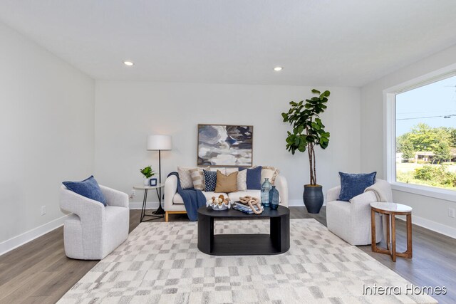 living room with wood-type flooring