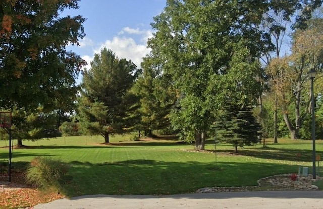 view of community featuring a lawn