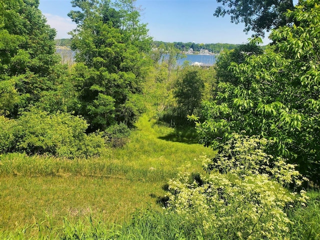 LOT2 Old Channel Trl, Montague MI, 49437 land for sale