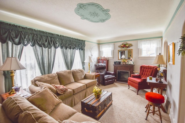 carpeted living room featuring a textured ceiling