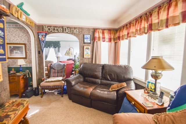 view of carpeted living room