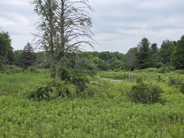 6172 Lake Rd, Barryton MI, 49305 land for sale