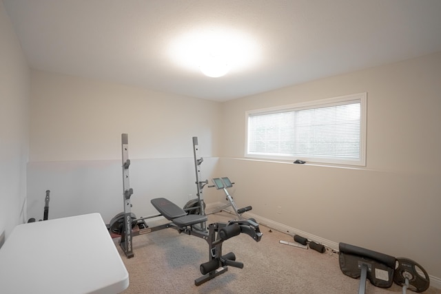 exercise area with carpet flooring