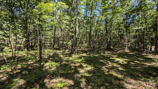 Listing photo 3 for V/L E Hasenbank Rd, Free Soil MI 49411