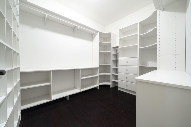 walk in closet with dark hardwood / wood-style floors